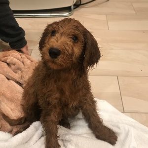 Meet your Posher, Lori